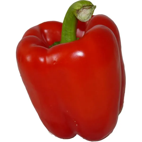 Poivron
